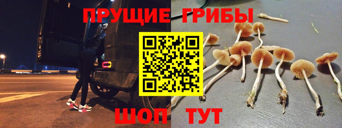 Псилоцибиновые грибы Psilocybe Гусь-Хрустальный